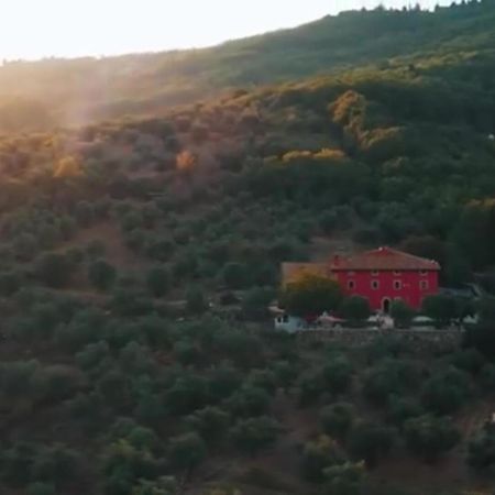Podere Belvedere Tuscany Villa Pontassieve Eksteriør billede